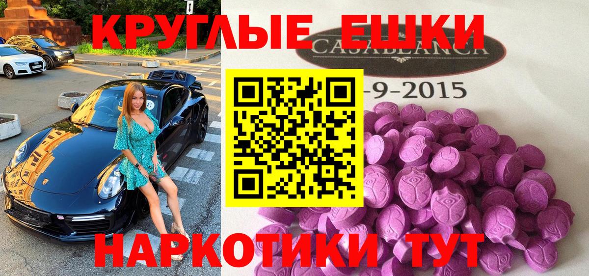 Ecstasy Philipp Plein  Вход с VPN  ЭКСТАЗИ  Владимир 