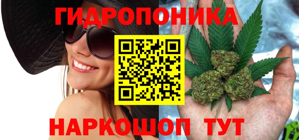 Марихуана гибрид Владимир
